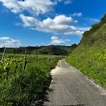 La Maison Kaiserstuhl Mit Sauna Dom wakacyjny Vogtsburg im Kaiserstuhl