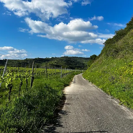 La Maison Kaiserstuhl Mit Sauna Tatil Evi Vogtsburg